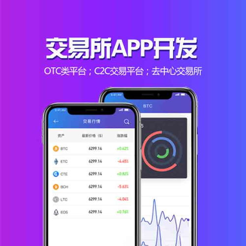 东莞软件开发公司