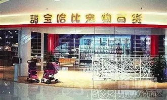 分析 宠物经济 购物中心的下一个消费浪潮