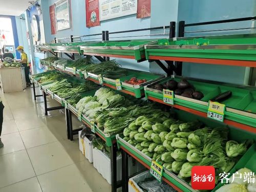 3000吨储量确保国庆期间海口蔬菜 货足价稳